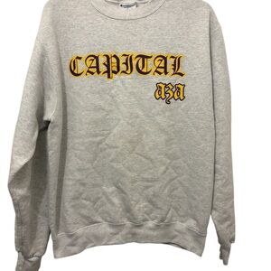 Champion Eco CAPITAL Mens Medium Longsleeve Gray